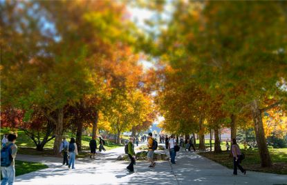 Picture of Wall Street Oasis