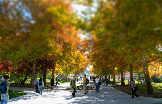 Picture of Wall Street Oasis