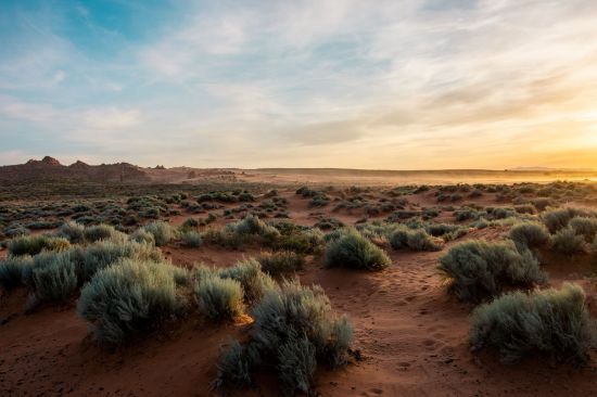 Picture of Laboratories of the Future: Tribes and Rights of Nature