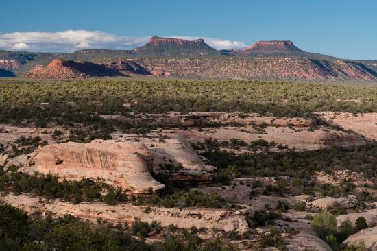 Picture of Bears Ears - Landscape of Refuge and Resistance