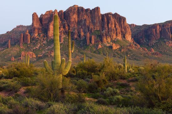 Picture of Arid Empire: The Entangled Fate of Arizona and Arabia