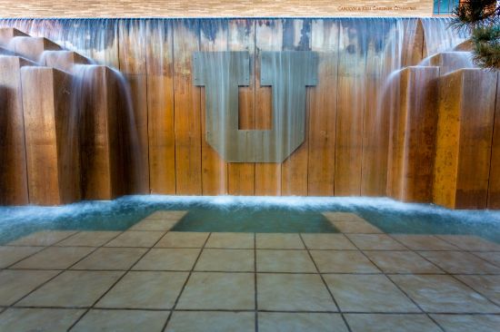 Picture of Utah Amyloidosis Symposium