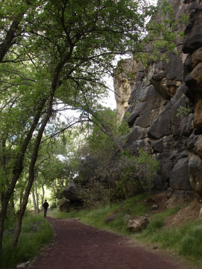 Picture of WOLI Rock Climbing Course, November 14-15
