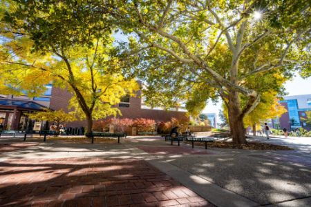 Picture for category Civil & Environmental Engineering Conferences