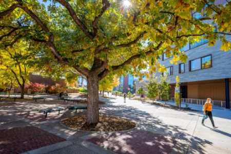 Picture for category College of Education Professional Development for Paraprofessionals and Teachers