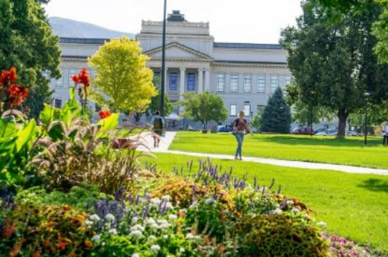 Picture of BFI Commuter Registration - copy